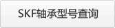 SKF�S����̖��ԃ